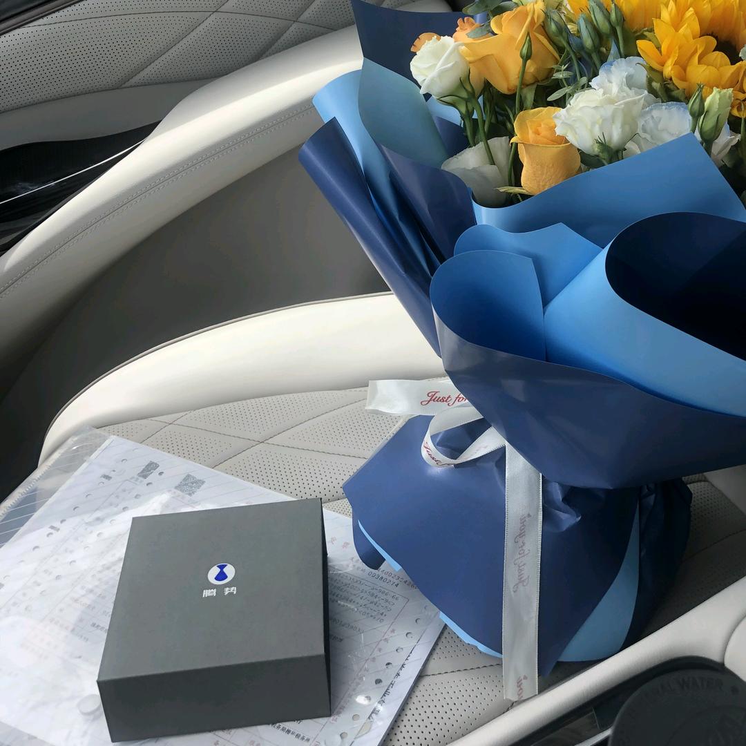 星之火(腾势D9商务车)