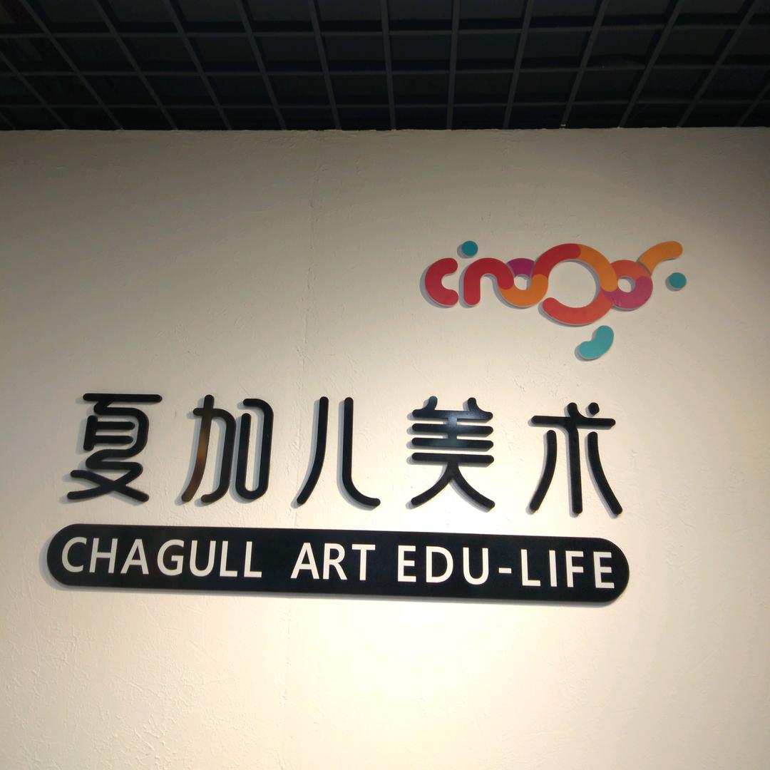 龙游夏加儿美术