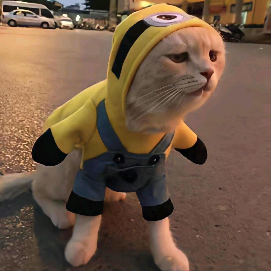啊，这也行？