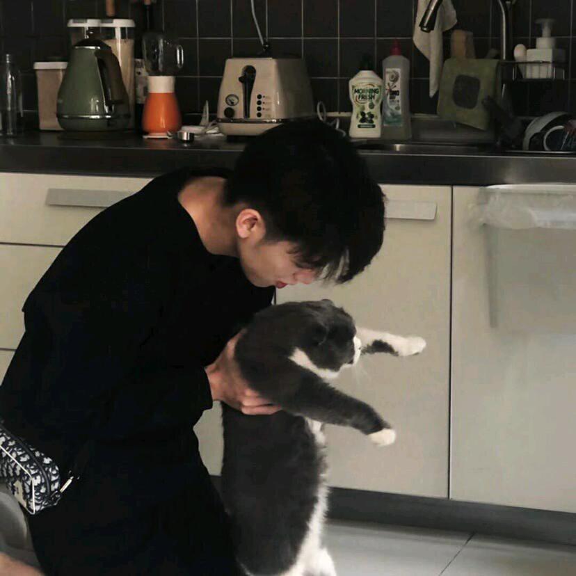 YY把你们豆沙了