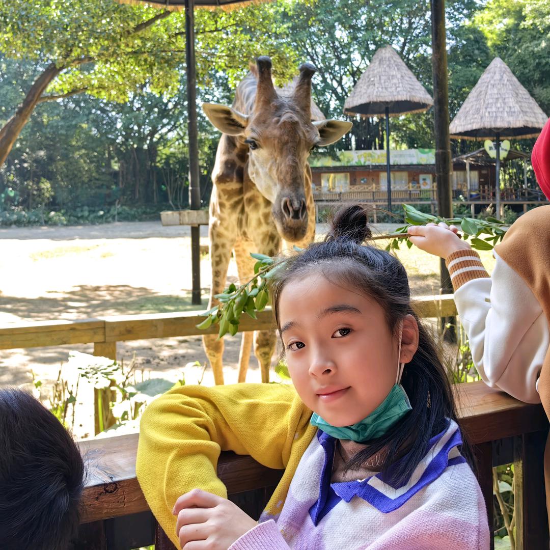 什么？朕的大清亡了？