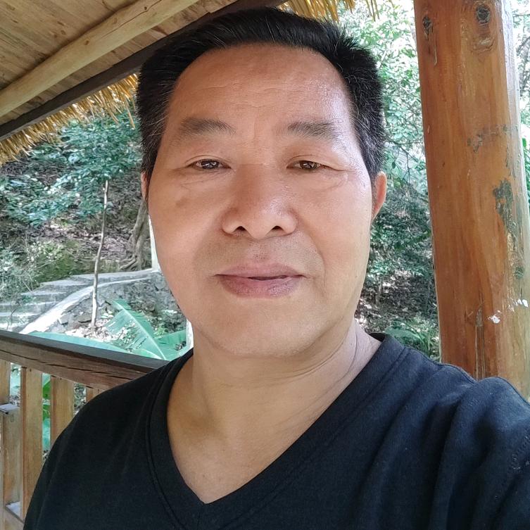 春天的梧桐
