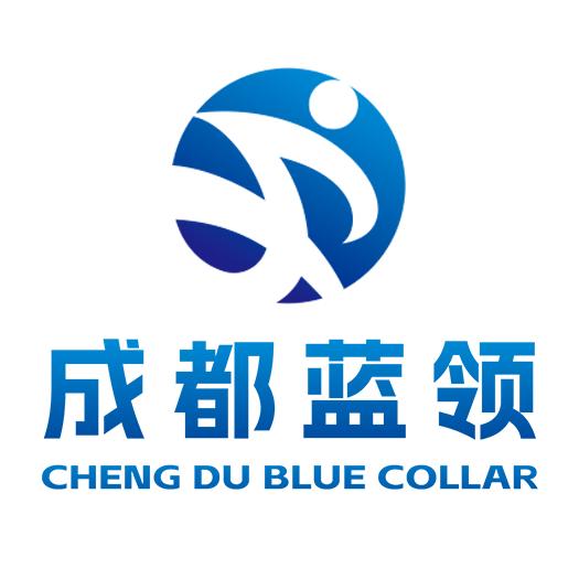 成都兴蜀人力资源服务有限公司
