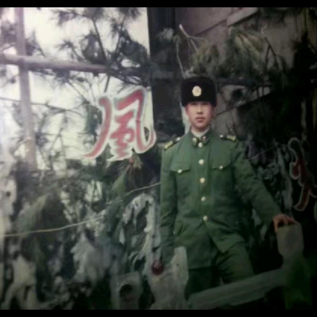 枫