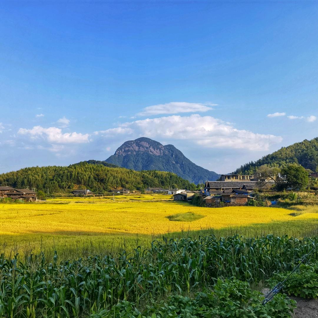 @瑞云山水画