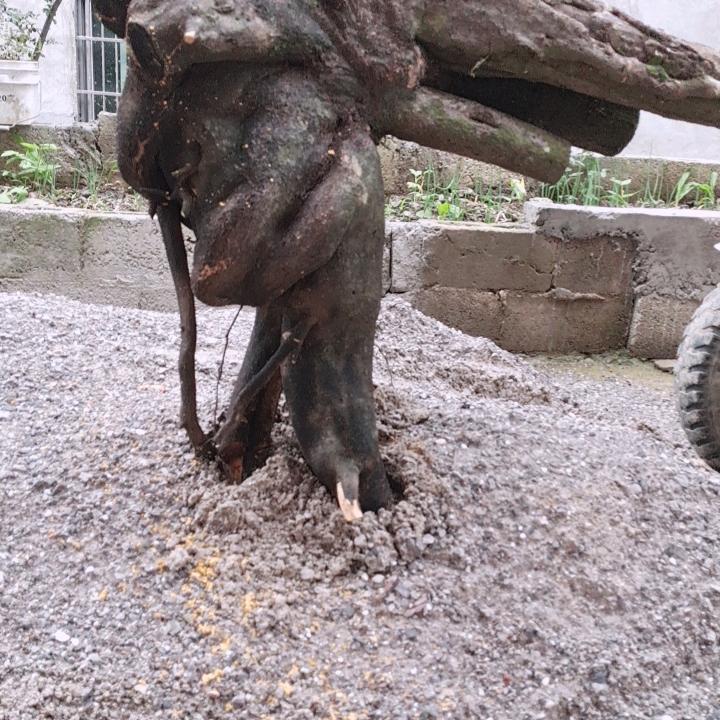 用户1831171884