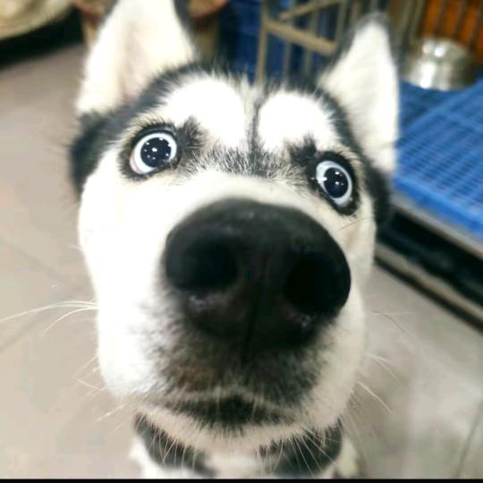 （此号即将注销）