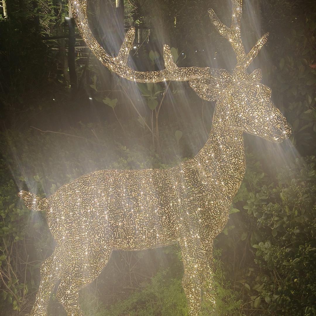 一🦌有你