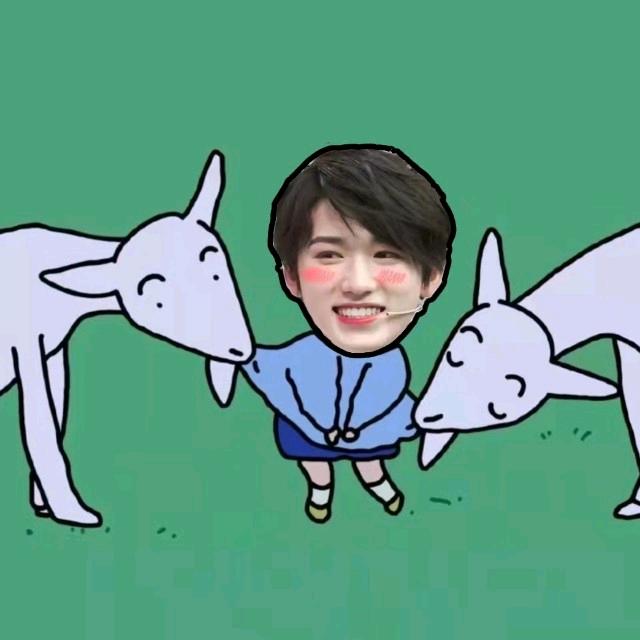 小宋想吃鱼