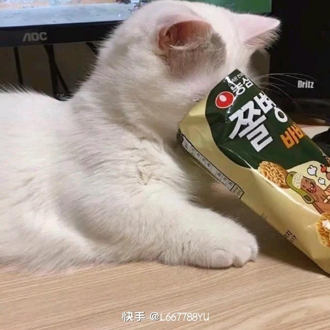 岁暮