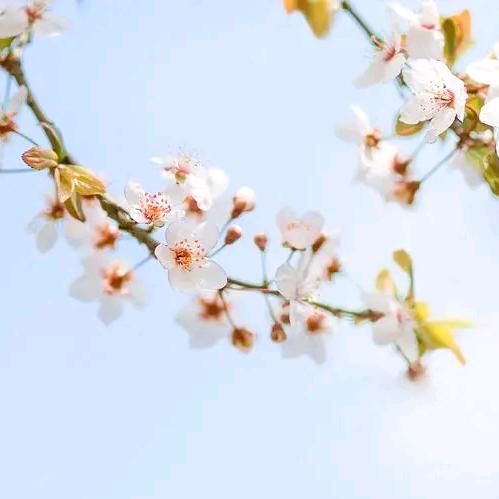あ唯独(｡･ω･｡)ﾉ♡宠李