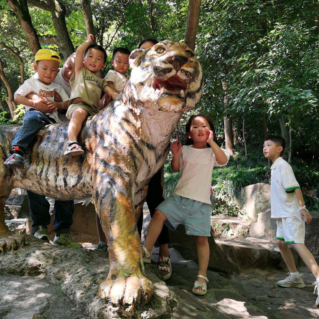 大龄研究生