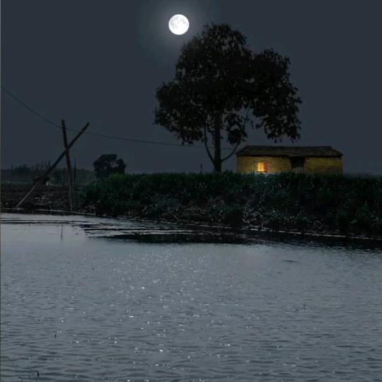 一生有你就足够