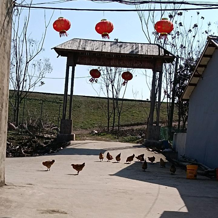 鄂州市杨叶强香餐馆