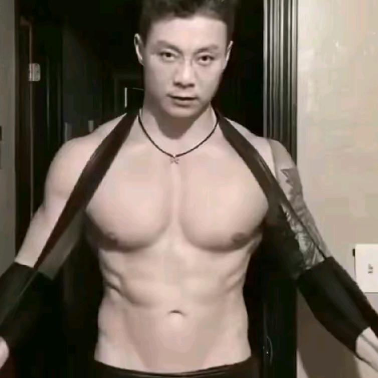 辛勤的蜜蜂