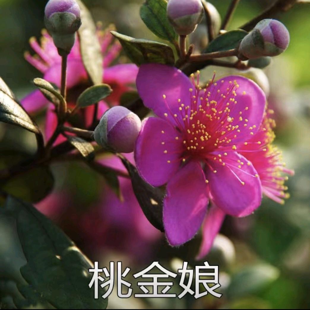 @一繁峰顺