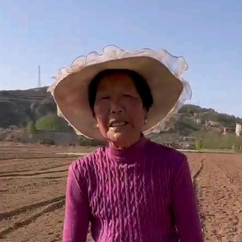 罗川婆媳记录生活