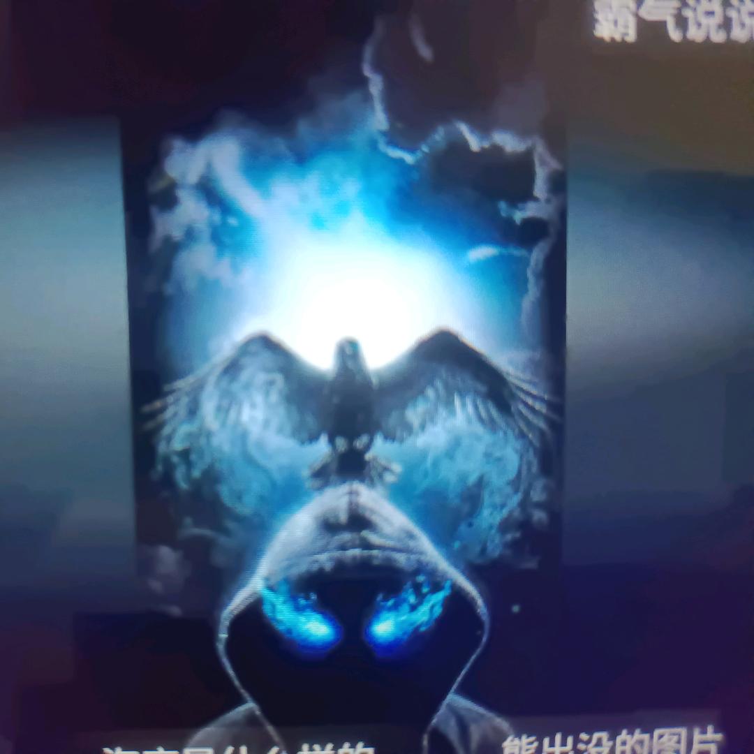 洪哥