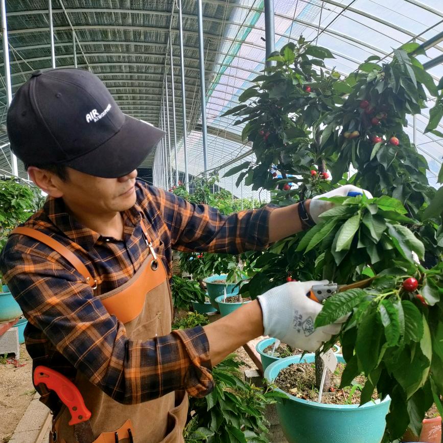 柚萝硕果果树苗木专卖店