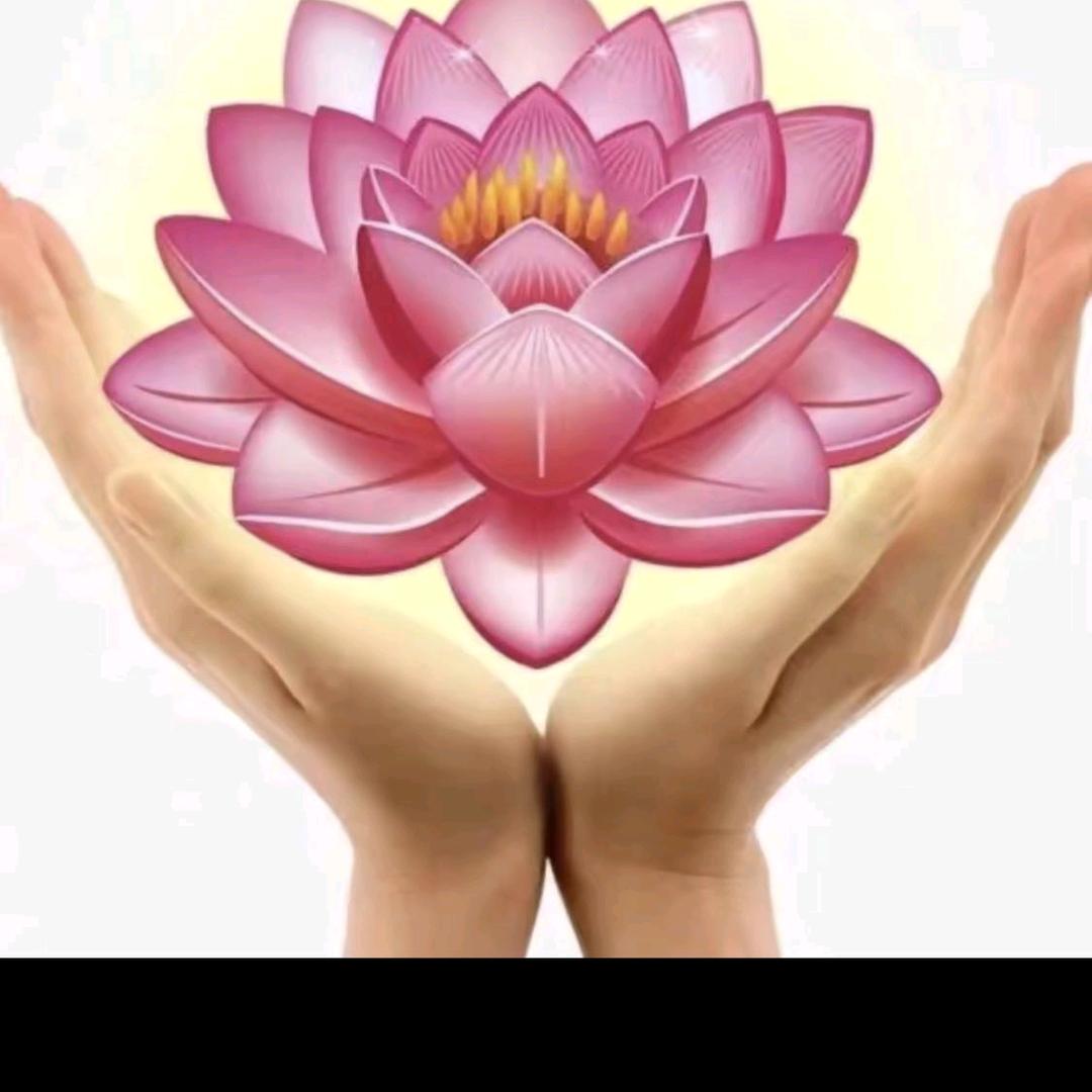 慧姐