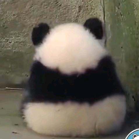 晴暄
