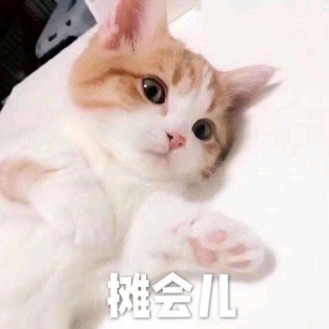已逝~遺矢