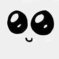 我想去有风的地方