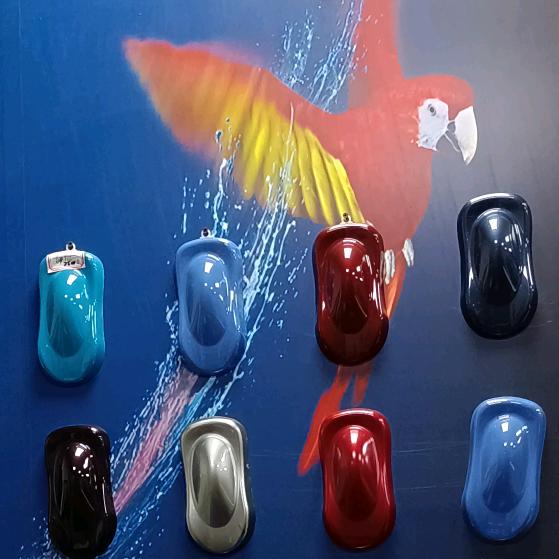 东莞车裳汇鹦鹉喷漆中心