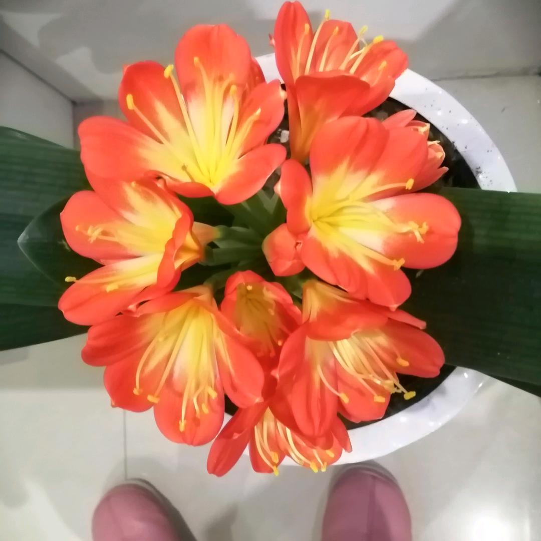 小宝翻新羽绒服羽绒被