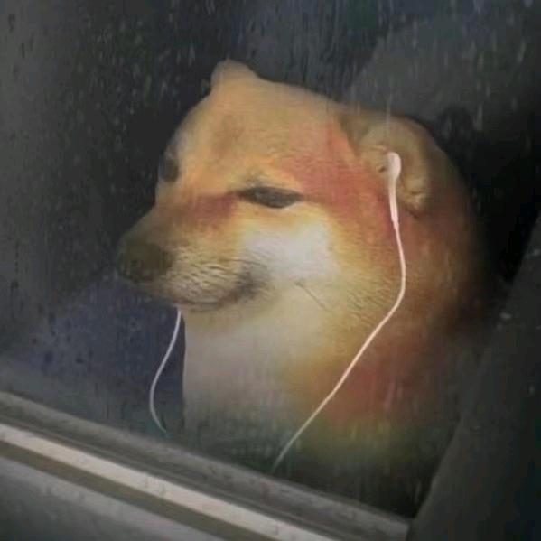 南.