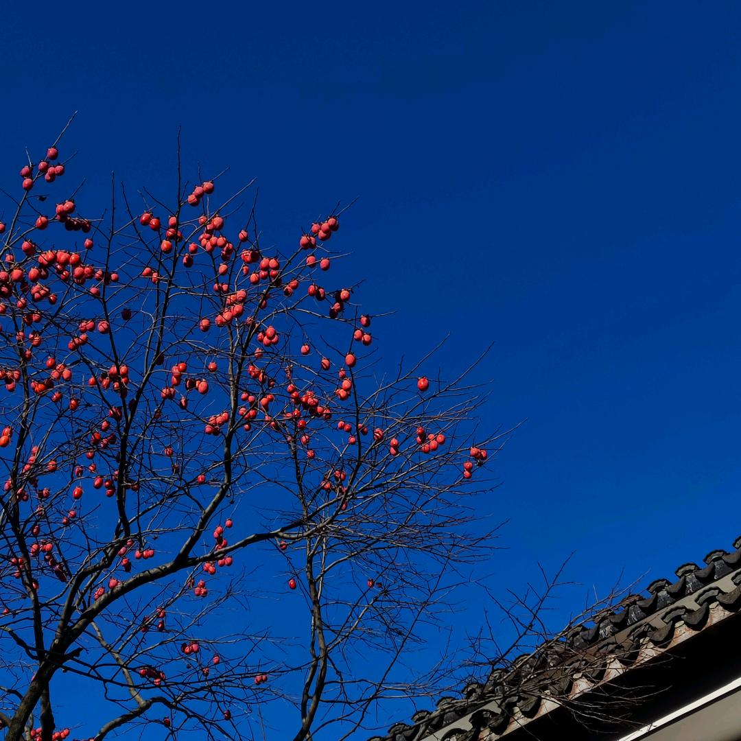 江江呀°