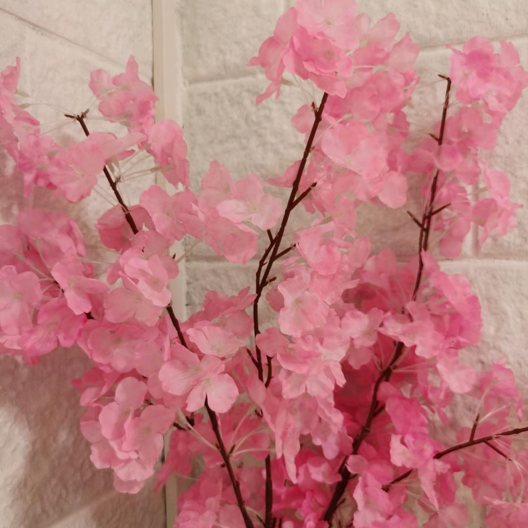 越剧小蜜蜂