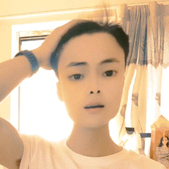 人生若只如初见