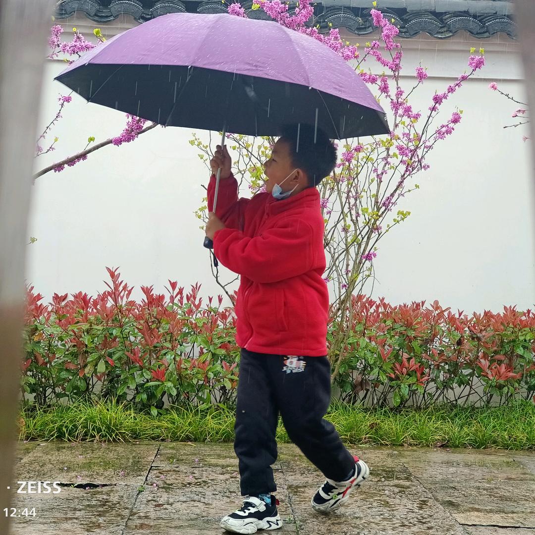 杰哥