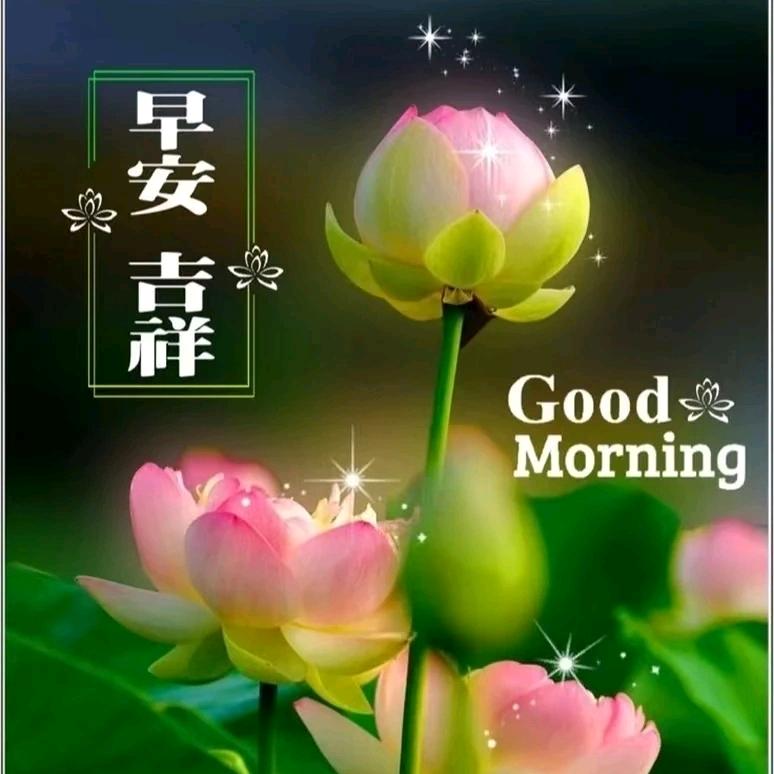 恒无止境头像