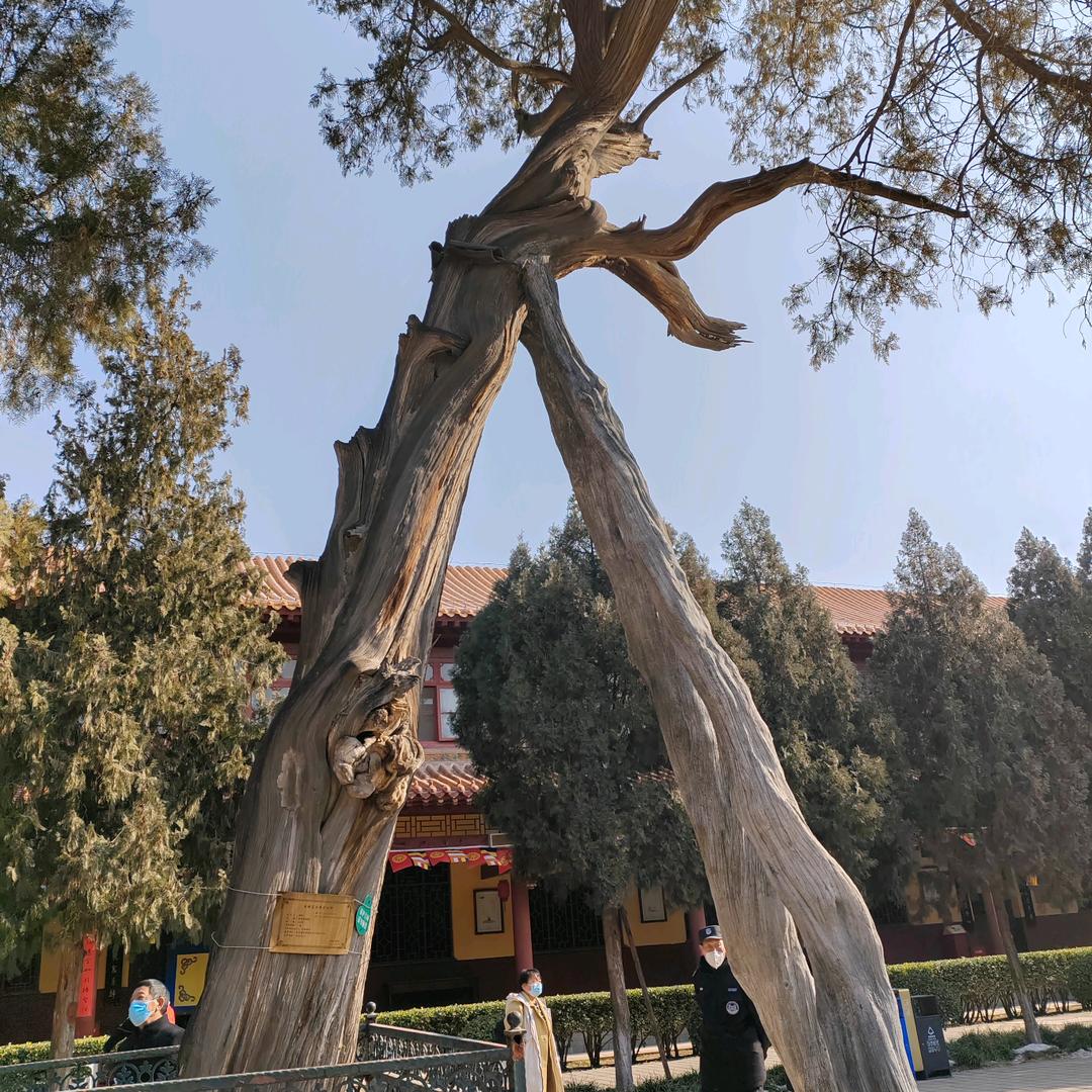 活着挺好