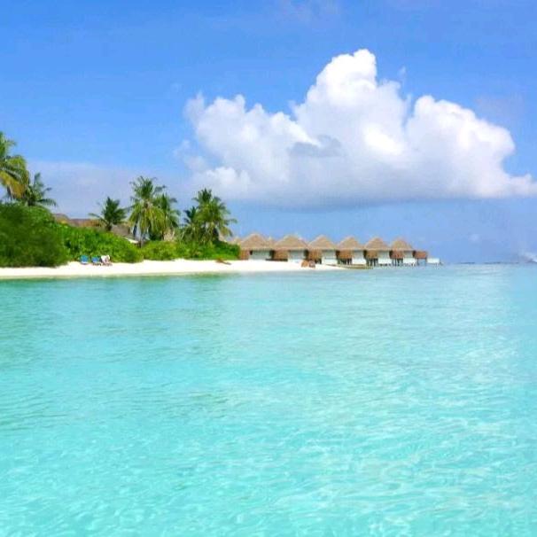 老郭小百货供应（收徒、收货）