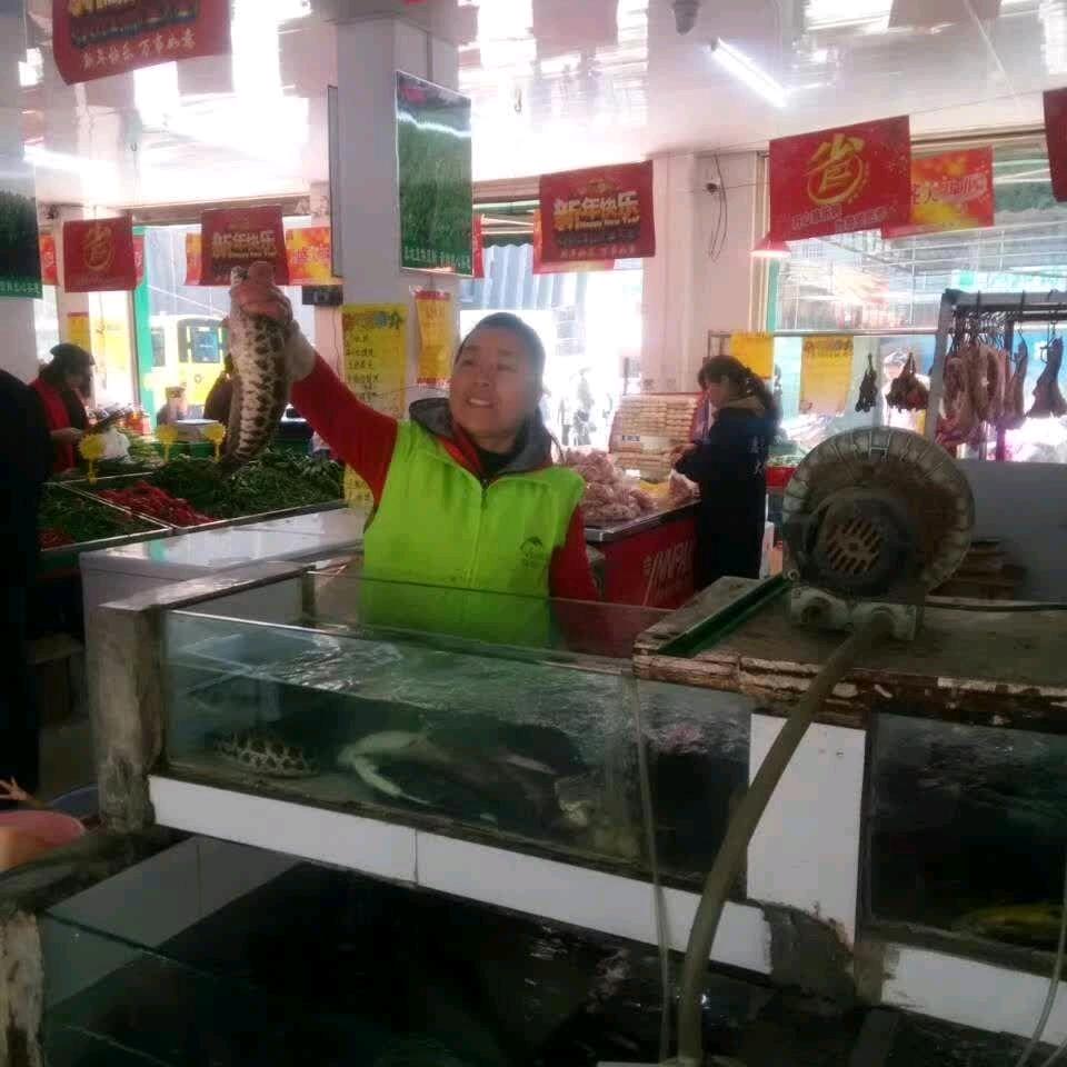 曹姐