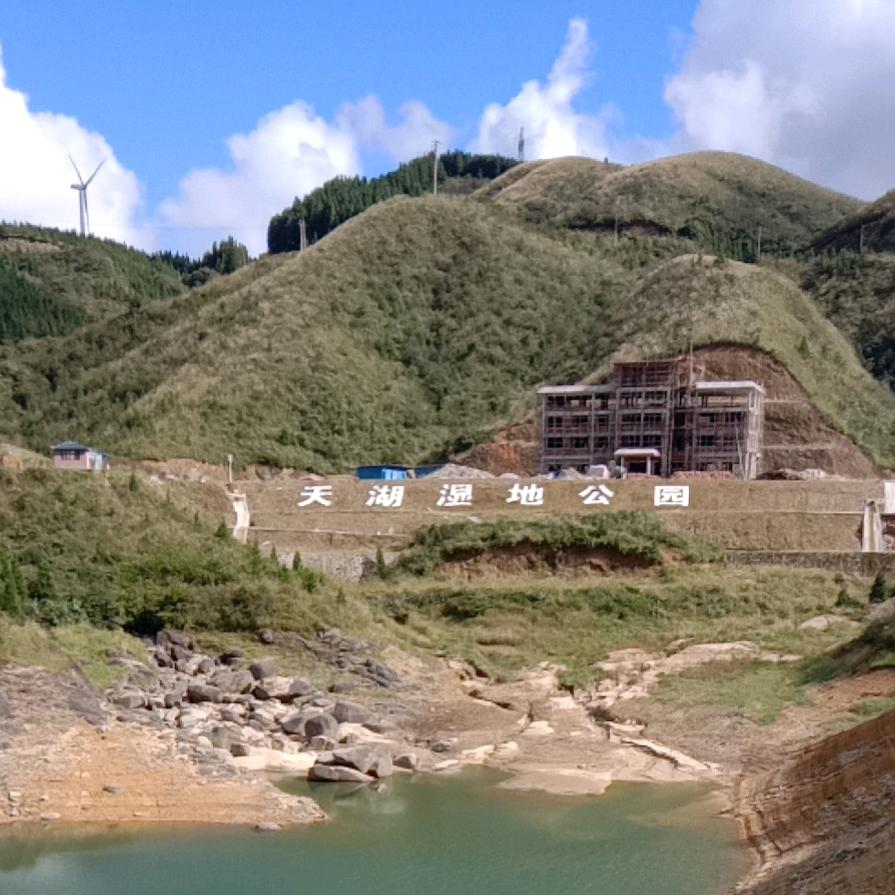 流浪