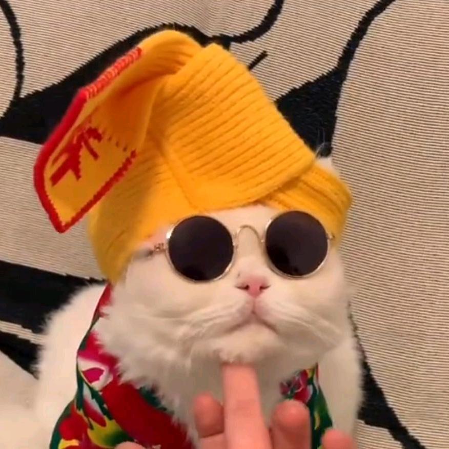 蛋黄派