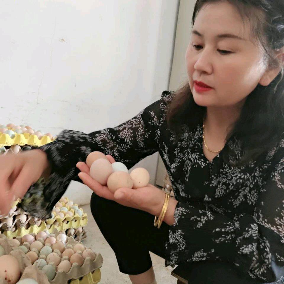岳阳县凤友种养殖合作社