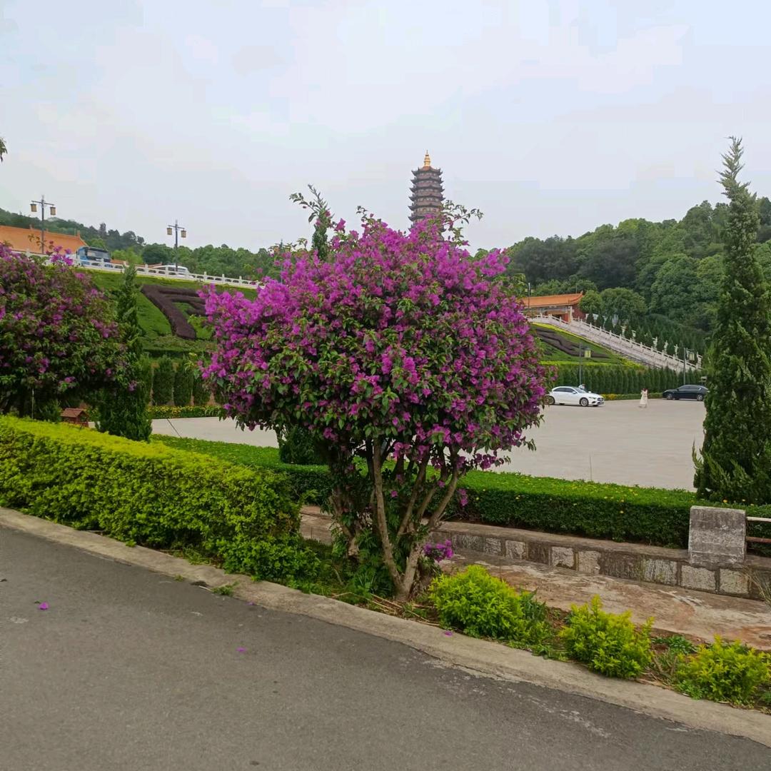 笑看人生，（请别连赞）