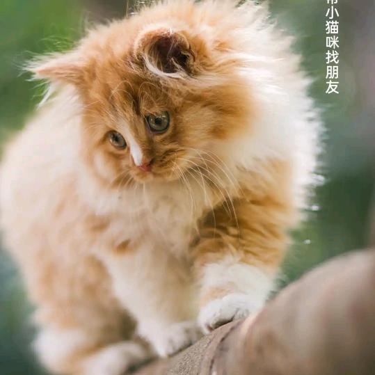 宋海兵