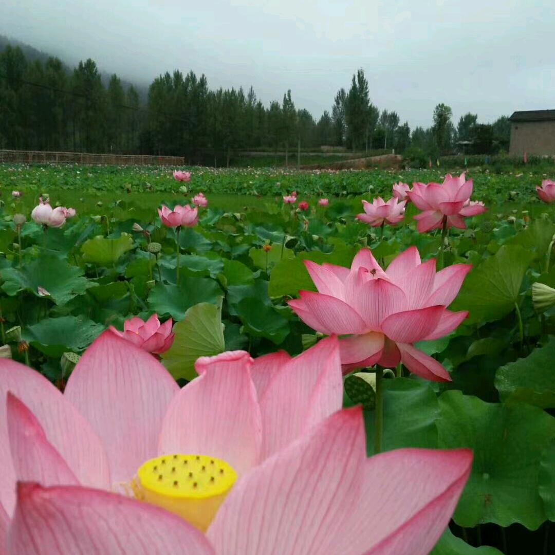 小范