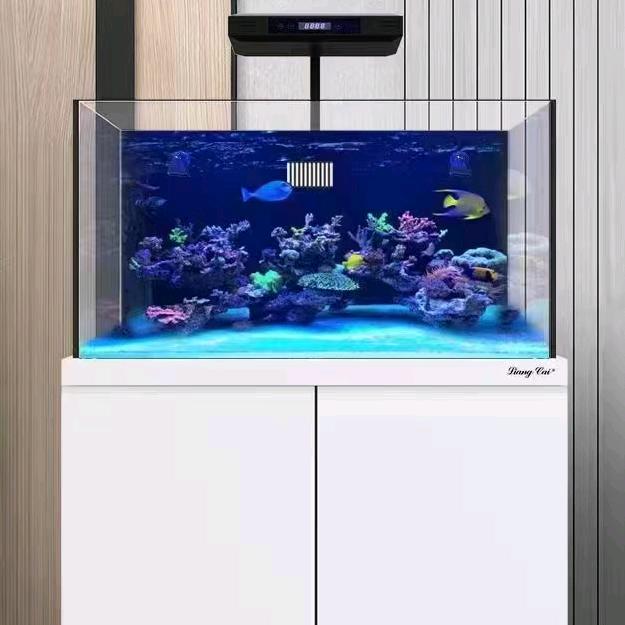中环水之韵水族