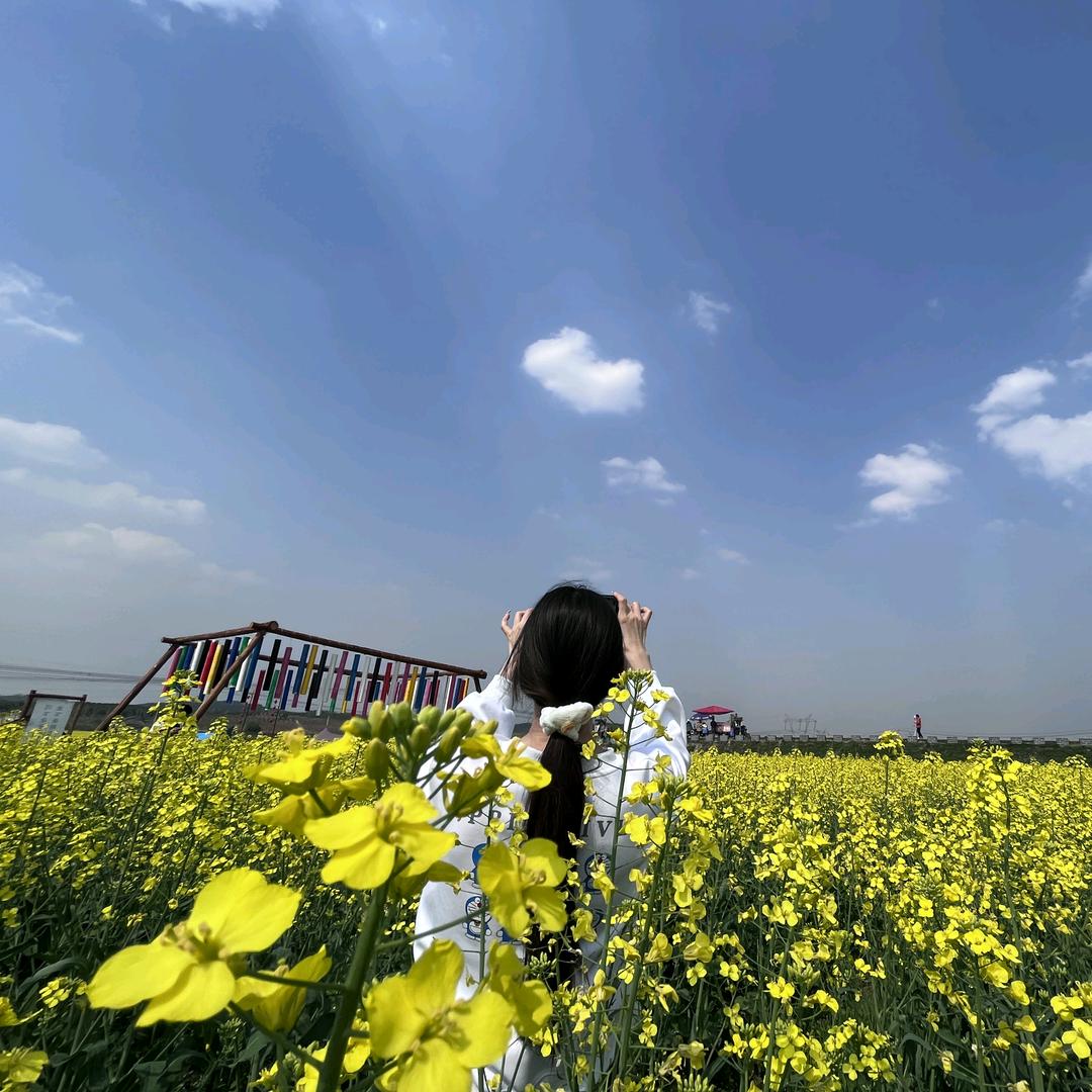 栗子姐姐爱吃香菜～