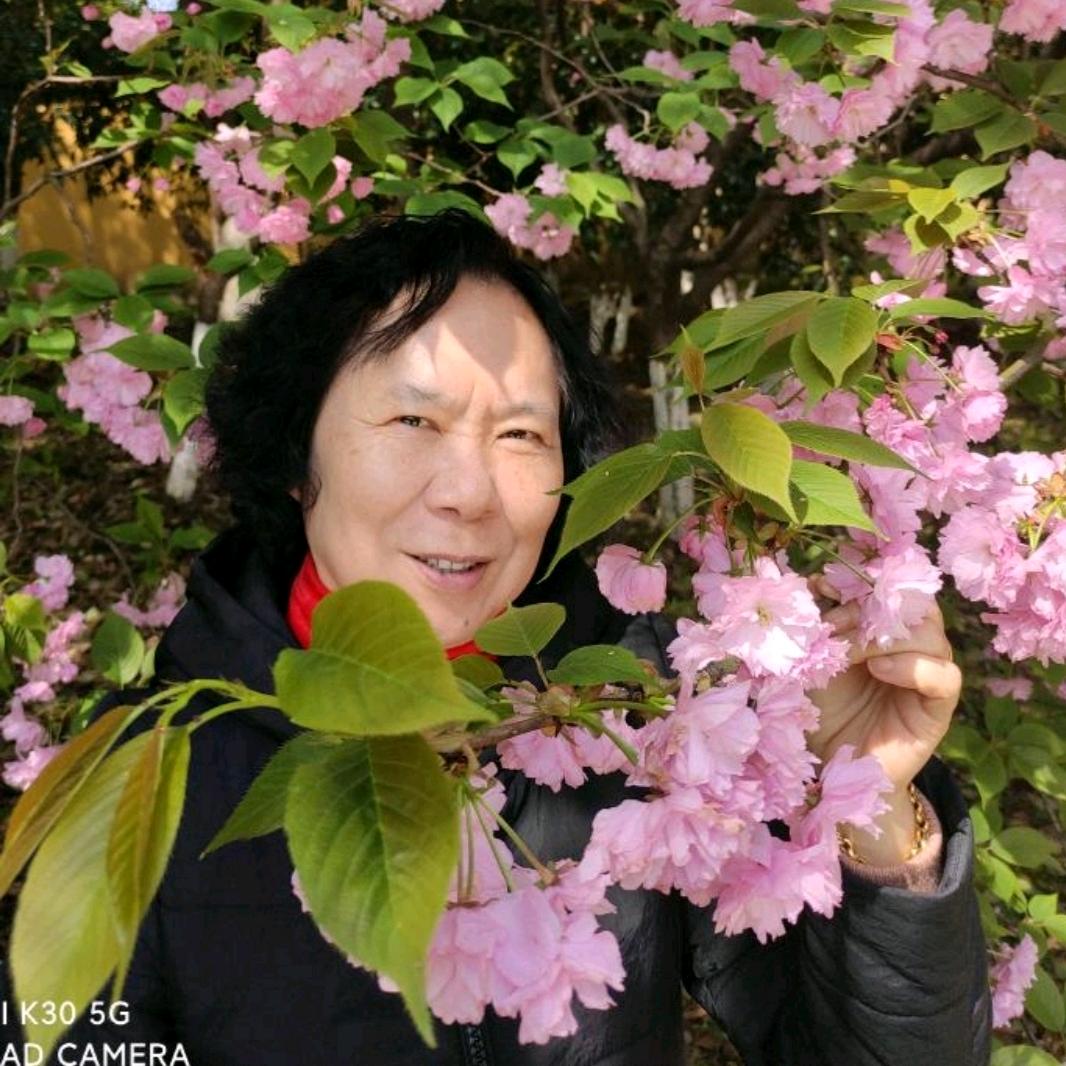 爱梅