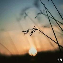 醉相思