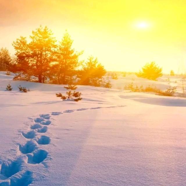 🙂🙂一笑而过