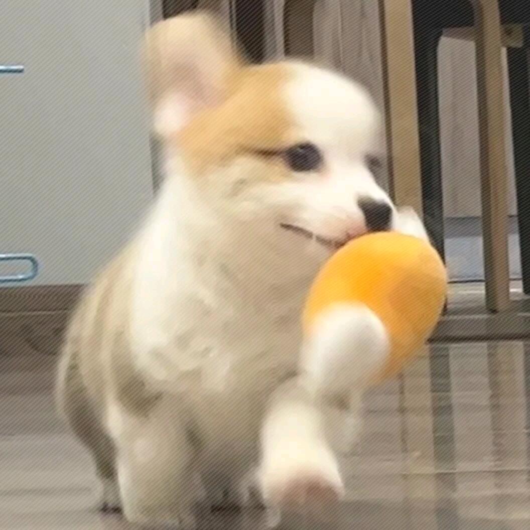快跑